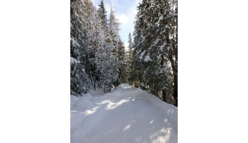 Hotel CROCUS **** Vysoké Tatry